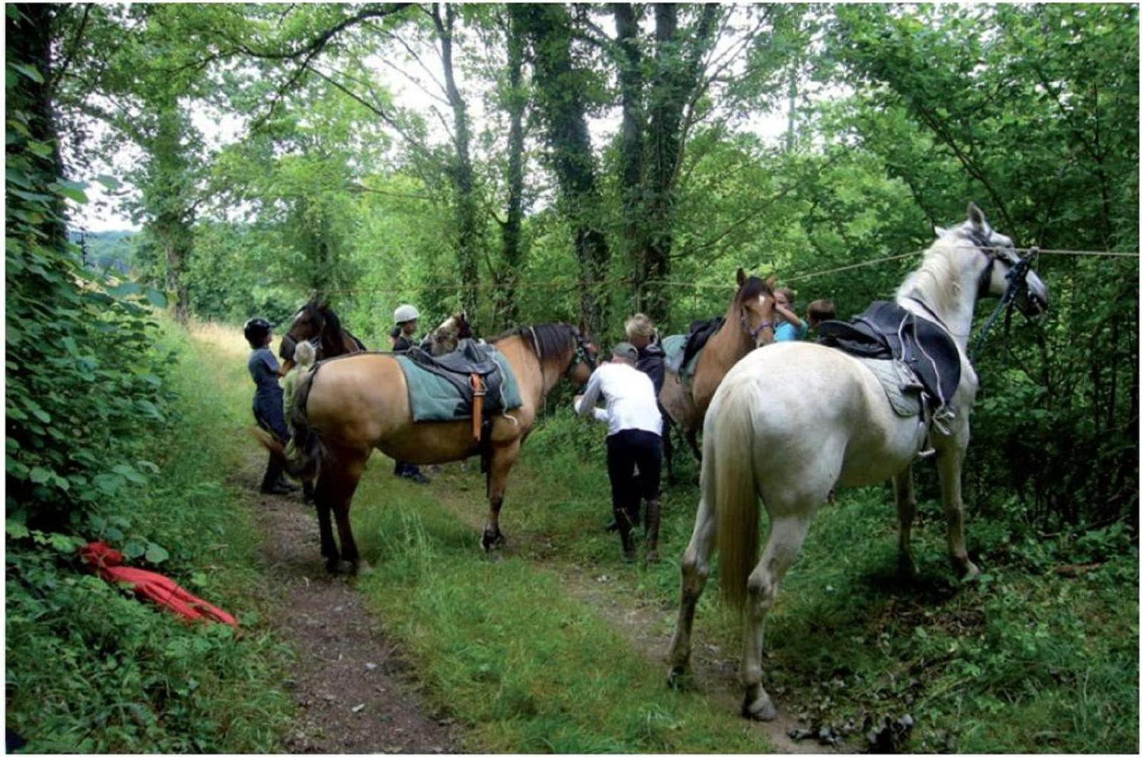 Bed and Breakfast La Mancine Laulan Jau-Dignac-et-Loirac Zewnętrze zdjęcie